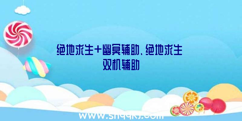 绝地求生+幽冥辅助、绝地求生